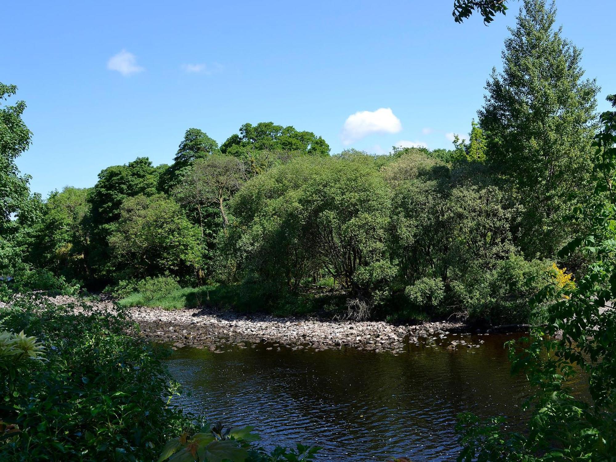 Riverside Newton Stewart Zewnętrze zdjęcie